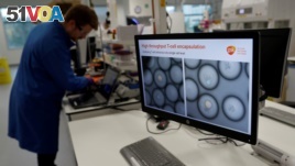 FILE PHOTO: A scientist studies cancer cells inside white blood cells through a microscope at the GlaxoSmithKline (GSK) research centre in Stevenage, Britain November 26, 2019.