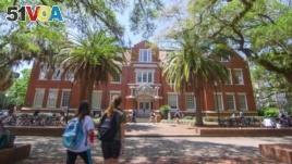 The University of Florida is located on a beautiful 800-hectare campus in Gainesville, Florida.