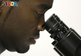 In this October 19, 2011 photo, Christopher Smith, a doctoral student in biomedical engineering, looks at stem cell samples through an inverted microscope in a laboratory at the Johns Hopkins University medical campus in Baltimore, Maryland.