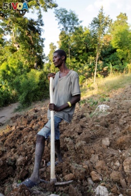Farmhand Celavi Belor, 41, a father of five children, pauses from work in Jean-Rabel, Haiti January 31, 2020. (January 31, 2020)