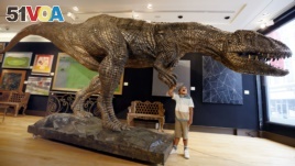 Joshua Wiles, five years old, looks at a massive bronzed fibre glass model of a Tyrannosaurus Rex on display during a press preview at Christie's auction rooms in London, Monday, Aug. 3, 2015. (AP Photo/Kirsty Wigglesworth)
