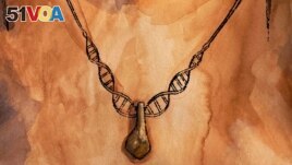An artistic interpretation of an ancient pendant made with an elk tooth, found at the Denisova Cave in southern Siberia, with dark DNA-shaped cordage is seen in this undated handout image. (Myrthe Lucas/Handout via REUTERS)