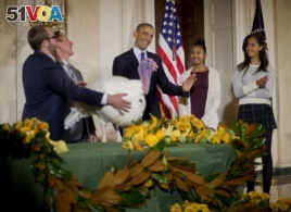 President Barack Obama, with daughters Malia, far right, and Sasha, carries on the Thanksgiving tradition of saving a turkey from the dinner table by 