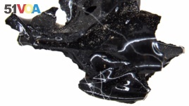 This photo released Thursday Jan. 23, 2020 by Herculaneum press office in Naples, southern Italy, shows a fragment of brain material of a victim incinerated by the ancient blast of Mount Vesuvius, and turned into glass. 
