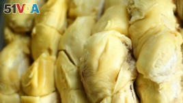 A closeup of an opened durian fruit is seen at a food stall in Medan, Indonesia. Known as the 