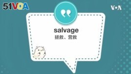 学个词 -salvage