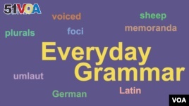 Everyday Grammar: Unusual Plurals