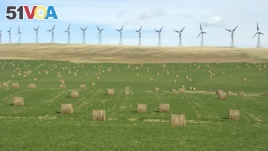 In the background, a wind farm generates electricity. In the foreground, bales of hay dot the landscape, 2010. 