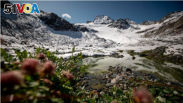 In this file photo, plants grow near a lake in front of Jamtalferner glacier near Galtuer, Austria, on September 11, 2019. (REUTERS/Lisi Niesner)