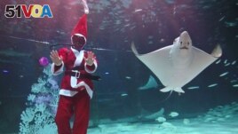 FILE - A diver dressed as Santa Claus performs amongst fish during a Christmas-themed underwater show at an aquarium in Seoul, South Korea on December 4, 2019. (Photo by Jung Yeon-je / AFP)
