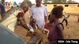 Sierra Leone Dog Population Rising Because of Ebola Crisis