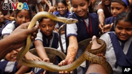 Well, not everyone is afraid of snakes! These school children in India touch snakes during an awareness program about the creatures in 2015. (AP Photo/Rajanish Kakade)