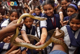 Many germs are spread at school. So, it is important to teach kids good handwashing habits. These school children in Mumbai, India, will most likely wash their hands after handling a snake. (File Photo 2015.)