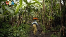 Project in DRC Aims to Increase Fertilizer Use