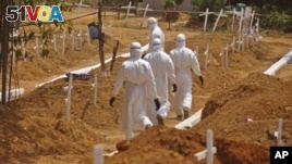 Researchers Warn of Ebola Fallout 