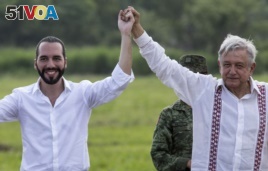 Mexican President Andres Manuel Lopez Obrador, right, and the President of El Salvador Nayib Bukele, raise their arms during a visit to a tree nursery at a military reserve in Tapachula, Mexico, Thursday, June 20, 2019.