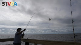 Tim Hitchens, of Gulfprort, Miss., pulls in a fish from a pier in the Gulf of Mexico, the morning after Tropical Storm Gordon made landfall nearby, in Biloxi, Miss., Wednesday, Sept. 5, 2018. (AP Photo/Gerald Herbert)