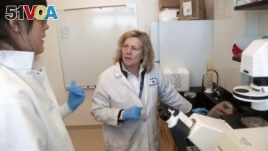 FILE - Judy Mikovits talks to a graduate student at the Whittemore Peterson Institute for Neuro-Immune Disease, in Reno, Nevada in 2011. Tech companies took down a video called Plandemic