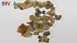 The Israel Antiquities Authority displays newly discovered Dead Sea Scroll fragments at the Dead Sea scrolls conservation lab in Jerusalem, Tuesday, March 16, 2021. (AP Photo/Sebastian Scheiner)