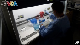 A medical researcher works on results of tests for various diseases, including Zika, at the Gorgas Memorial laboratory Panama City, Friday, Feb. 5, 2016. (AP Photo/Arnulfo Franco)