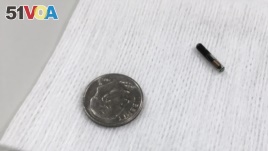A microchip is shown compared with a dime, Aug. 1, 2017, at Three Square Market in River Falls, Wis., where the company held a 