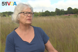 Dorothy Wakeling of the conservation group Harare Wetlands Trust says people are disturbing wetlands which are supposed to be gradually releasing water into the city's water bodies.