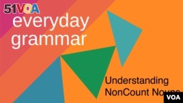 Understanding NonCount Nouns