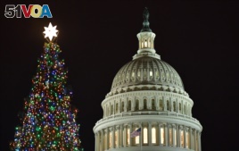 The Capitol Christmas tree on the West Front of the US Capitol in Washington, DC on December 6, 2017. German immigrants brought their tradition of putting lights, sweets and toys on the branches of evergreen trees to America.