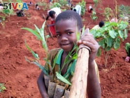 A young boy plants trees in Ethiopia.