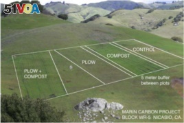 The plan for the original research area to test compost's carbon retention possibility on John Wick's Nicasio Native Grass Ranch in California..