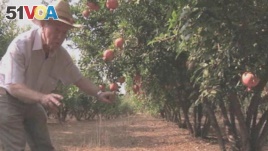 Irrigation Pioneer Wins World Food Prize