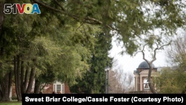Students sit outside at Sweet Briar College, which came very close to closing in 2015.