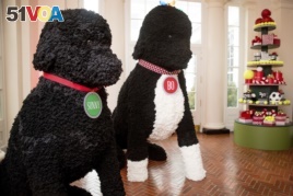 Replicas of Bo and Sunny are displayed in the East Wing Hallway of the White House during a preview of the 2016 holiday decor at the White House.