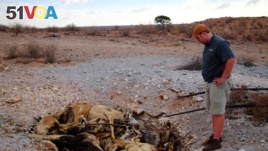 Farm manager Burger Schoeman stands over a pit of dead animals near Groblershoop, South Africa, December 6, 2019.