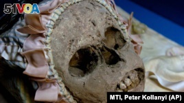 This Hungarian mummy was part of an exhibit at the Hungarian Natural History Museum in Budapest, Hungary, in 2006. Now, the mummy is part of cancer research. (AP Photo/MTI, Peter Kollanyi)