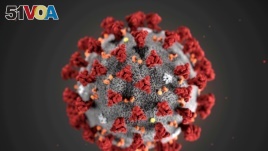 The ultrastructural morphology exhibited by the 2019 Novel Coronavirus (2019-nCoV), which was identified as the cause of an outbreak of respiratory illness first detected in Wuhan, China, is seen in an illustration released by the Centers for Disease Cont