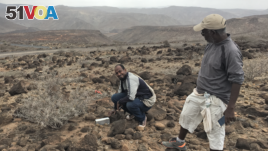 Djibouti fieldwork, in search of the Somali Sengi. (Photo by Galen Rathbun, California Academy of Sciences)