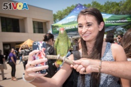 A student takes a picture with a bird at special event on the Valencia College campus in Orlando, Florida.