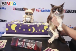 America's favorite famous feline, Grumpy Cat, celebrates her sixth birthday with Purina and PetSmart at the 