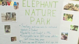 Miriam Gardsbane's sign about Elephant Nature Park