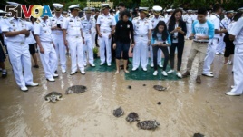Well-wishers release sea turtles at the Sea Turtle Conservation Center as part of the celebrations for the upcoming 65th birthday of Thai King Maha Vajiralongkorn, also known as King Rama X.