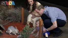 Catherine, the Duchess of Cambridge, and her husband, Britain's Prince William, watch as their son Prince George looks at an Australian animal called a bilby during a visit to Sydney's Taronga Zoo, April 20, 2014.