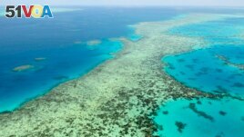 This aerial photos shows the Great Barrier Reef in Australia on Dec. 2, 2017. (Kyodo News via AP)
