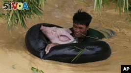 A resident uses an inflated inner tube to bring a pig to safety in floodwaters brought about by Typhoon Koppu at Zaragosa township, Nueva Ecija province, north of Manila, Philippines Monday, Oct. 19, 2015.  (AP Photo/Bullit Marquez)