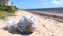 Garbage on the beach at Key Biscayne