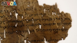 A fragment from the Dead Sea Scrolls that underwent genetic sampling to shed light on the 2,000-year-old biblical trove is shown to Reuters at the Israel Antiquities Authority (IAA) laboratory in Jerusalem June 2, 2020. (REUTERS/Ronen Zvulun)