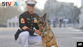 U.S. Gunnery Sergeant Christopher Willingham stands with Lucca, after the German shepherd received the PDSA Dickin Medal, awarded for animal bravery, in London, April 5, 2016.