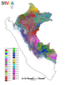 Map of Peru Showing Different Tree Species Identified by CAO
