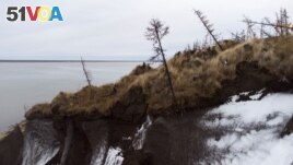 Trees lean precariously at Duvanny Yar, southwest of the town of Chersky, Sakha (Yakutia) Republic, Russia, September 12, 2021. (REUTERS/Maxim Shemetov)