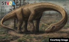 Dreadnoughtus: A Giant Among Dinosaurs